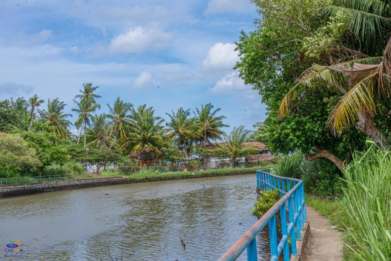 Oasis Lagoon Garden تانجالي المظهر الخارجي الصورة